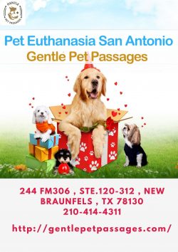 Pet Euthanasia San Antonio – Gentle Pet Passages