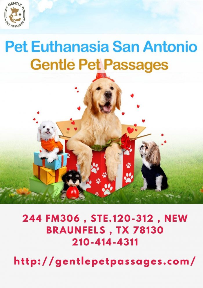 Pet Euthanasia San Antonio – Gentle Pet Passages