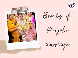 Want to know about the beauty of punjabi weddings