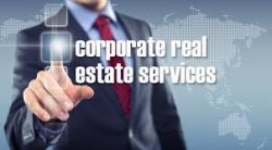 Real Estate Services – Joseph Grinkorn