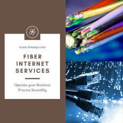 Operate your Business Process Smoothly with Fiber Internet Services