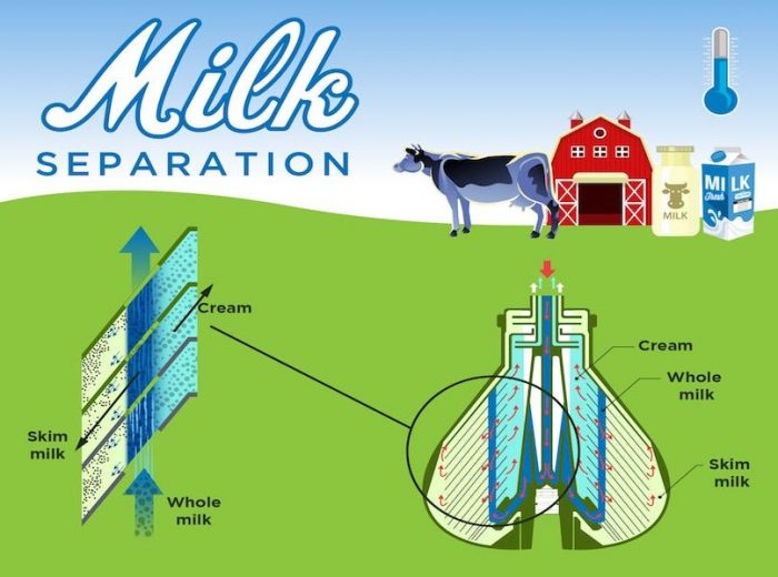 Process Used To Separate Cream From Milk- Milky Day