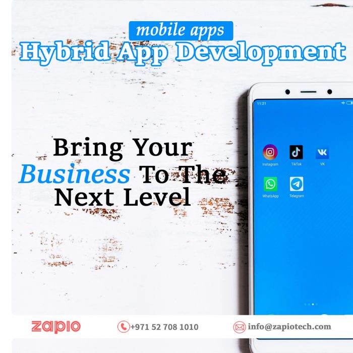 Hybrid App Development Company in Dubai