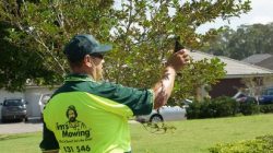 Best Lawn Mowing Services Deer Park