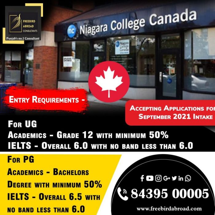 Canada Apply With Overall 6 Bands in IELTS/ / PTE