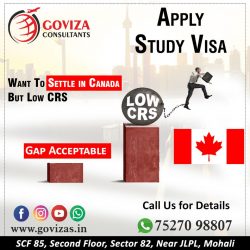 Want To Settle in Canada, But Low CRS Score. Apply for Study Visa ✈️