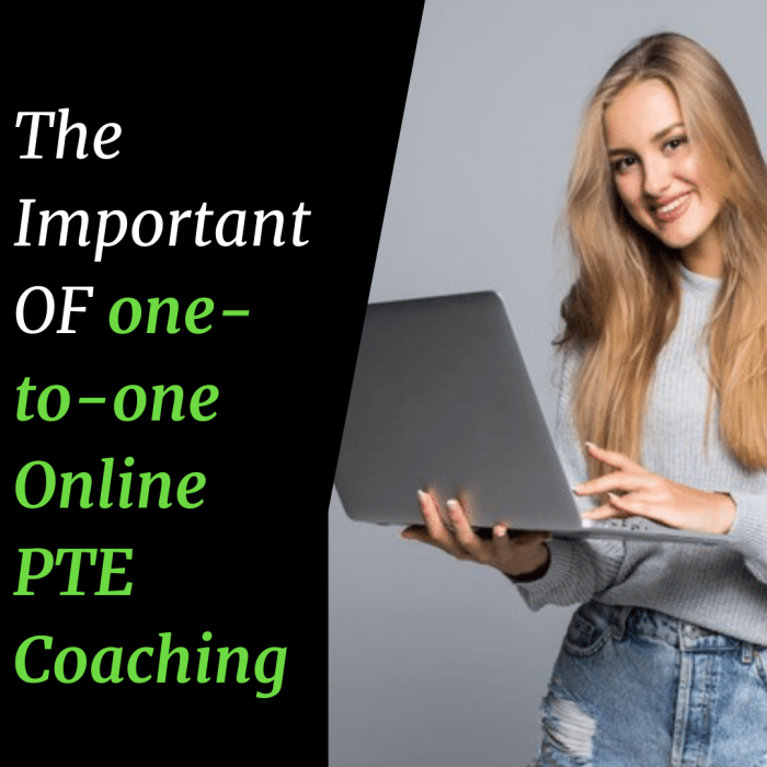 The Important OF one-to-one Online PTE Coaching