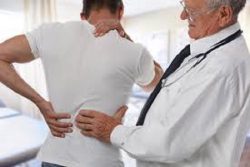 Harvard Trained Back Pain Doctors
