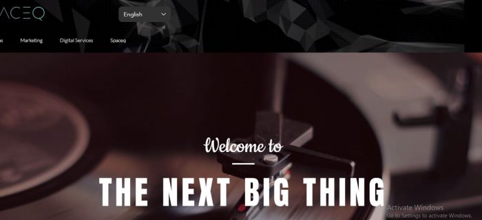 Professional Web Development Services