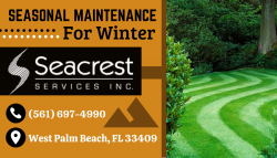 Care for your Lawn On Seasonal