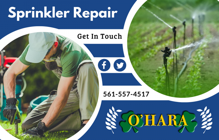 Sprinkler Repair and System Installation