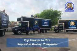 5 Reasons to Hire Reputable Moving Companies