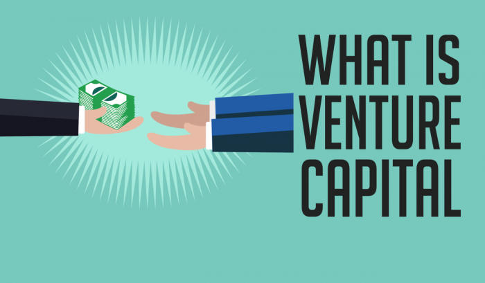 What Is Venture Capital? | Franklin I. Ogele