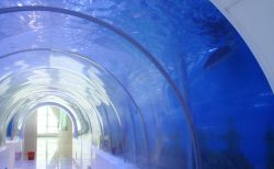 Custom Clear Acrylic Glass Sheet For Large Aquarium Tunnel