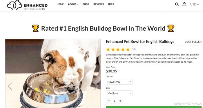 Best Slanted Dog Bowls
