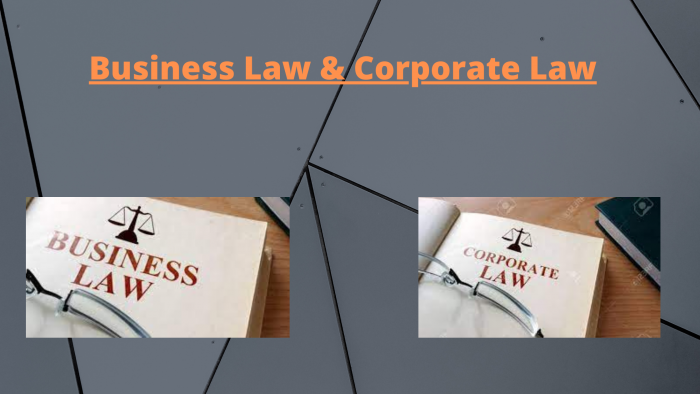 Corporate Law & Business Law | Franklin I. Ogele