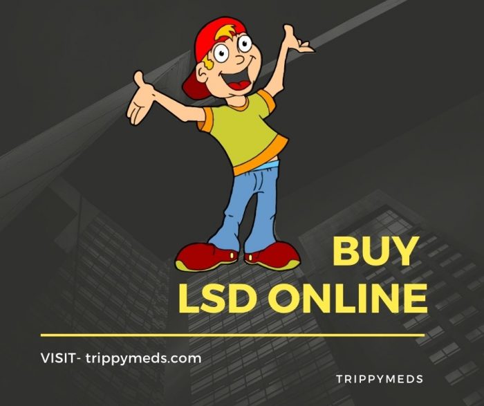 TrippyMeds – Online LSD store
