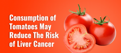 Tomatoes Can Reduce The Risk Of Cancer | John Deschauer