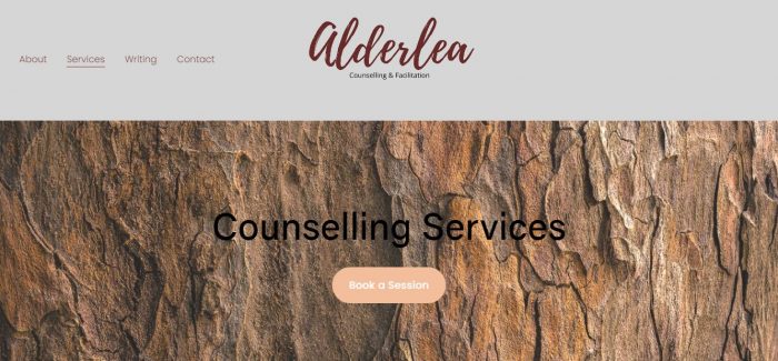 counselling therapy