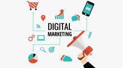 Services of Digital Marketing- David Malka Digital marketing