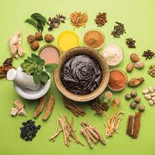 Ayurvedic Herbal Medicine In India