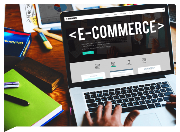 Ecommerce Website Development Company in India