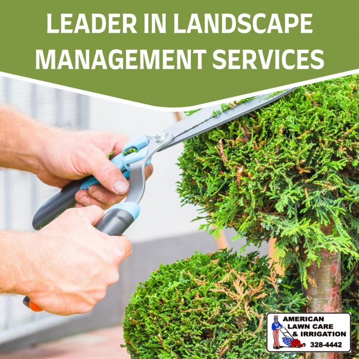 Effective Landscaping Designs and Installations