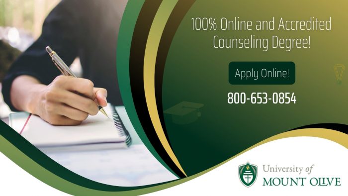 Master of Science in Counseling: Clinical Mental Health Online Degree