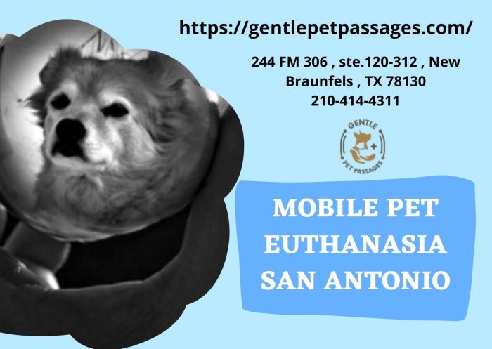 Mobile Pet Euthanasia San Antonio – Gentle Pet Passages
