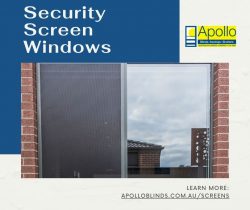 Security Screen Windows in Australia