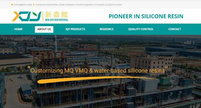 silicone resin producer