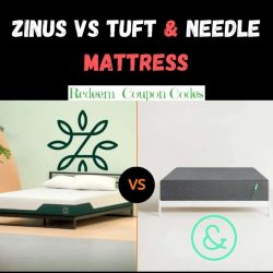 Zinus vs Tuft and Needle Mattress Comparison