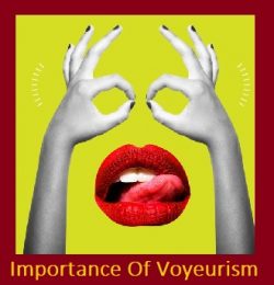 Importance Of Voyeurism