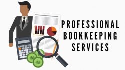 Professional Virtual Accounting and Bookkeeping Services in Kennesaw, GA