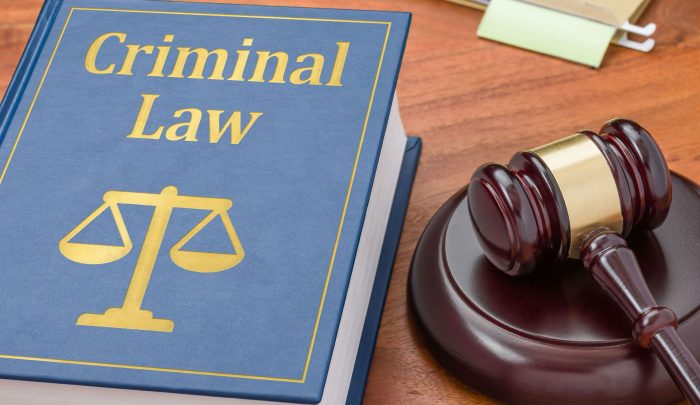 Criminal Law | Franklin I. Ogele