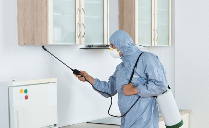 A Pest Control Service Is Important for Many Reasons
