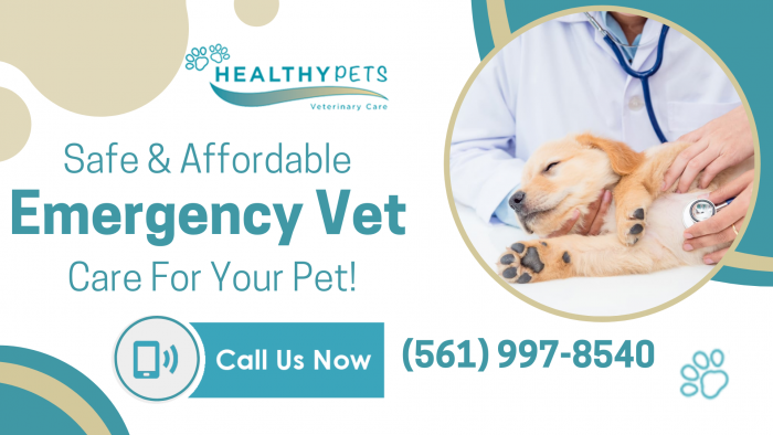 Get Compassionate Veterinary Care!