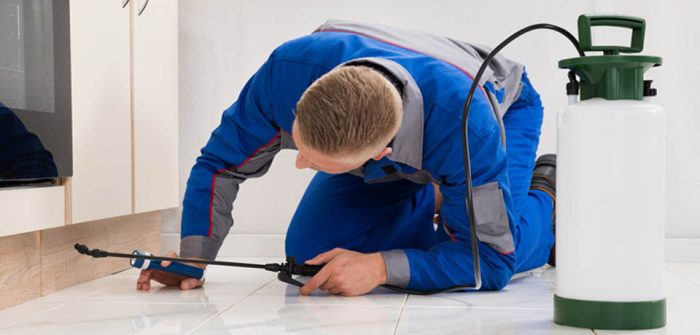 Get Pest Control Service and Stay Healthy by Minimizing fall in Illness