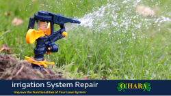 Spot Repairing Service For Your Irrigation
