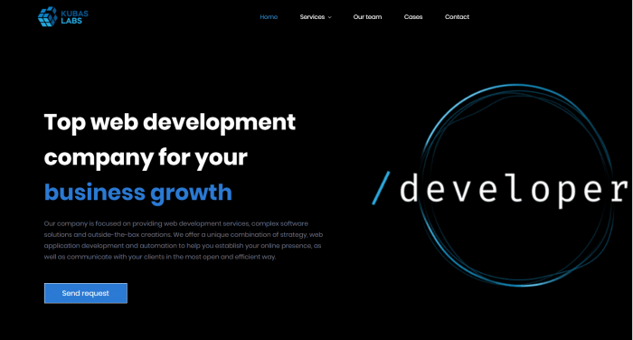 Looking Web application development company?