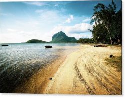 Best Beach Photography Poster – BeachSamurai