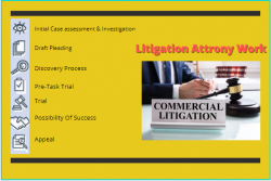 Litigation Attorney Work | Franklin I. Ogele