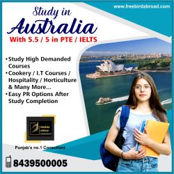 Apply For Australia Study Visa With IELTS / PTE 5.5/5 Bands