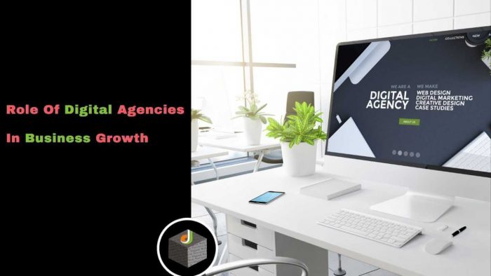 What is the Role of Digital Agencies In Your Business Grow?