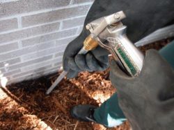 Few Tips to choose the best termite control service