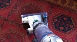 carpet cleaning collingwood