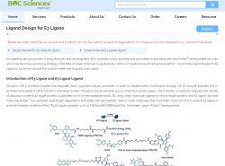 Ligand Design for E3 Ligase