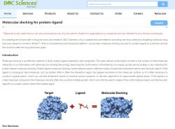 Molecular docking for protein-ligand