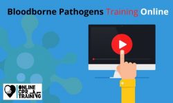 Bloodborne Pathogens Training Online