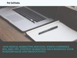 Pel Softlabs Pvt Ltd – IT Services
